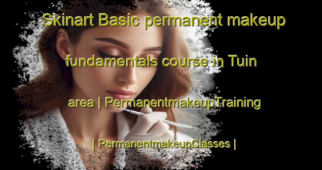 Skinart Basic permanent makeup fundamentals course in Tuin area | PermanentmakeupTraining | PermanentmakeupClasses | SkinartTraining-India